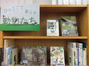 ひょうごで暮らす動物たち　画像
